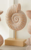 Nautilus Carved Shell Tabletop Sculpture - CLEARANCE