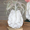 White Rippled Vase - Small - OUT OF STOCK UNTIL 09/02/2026