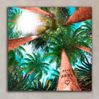 Palm Canopy Personalized Stretched Canvas Art - Large