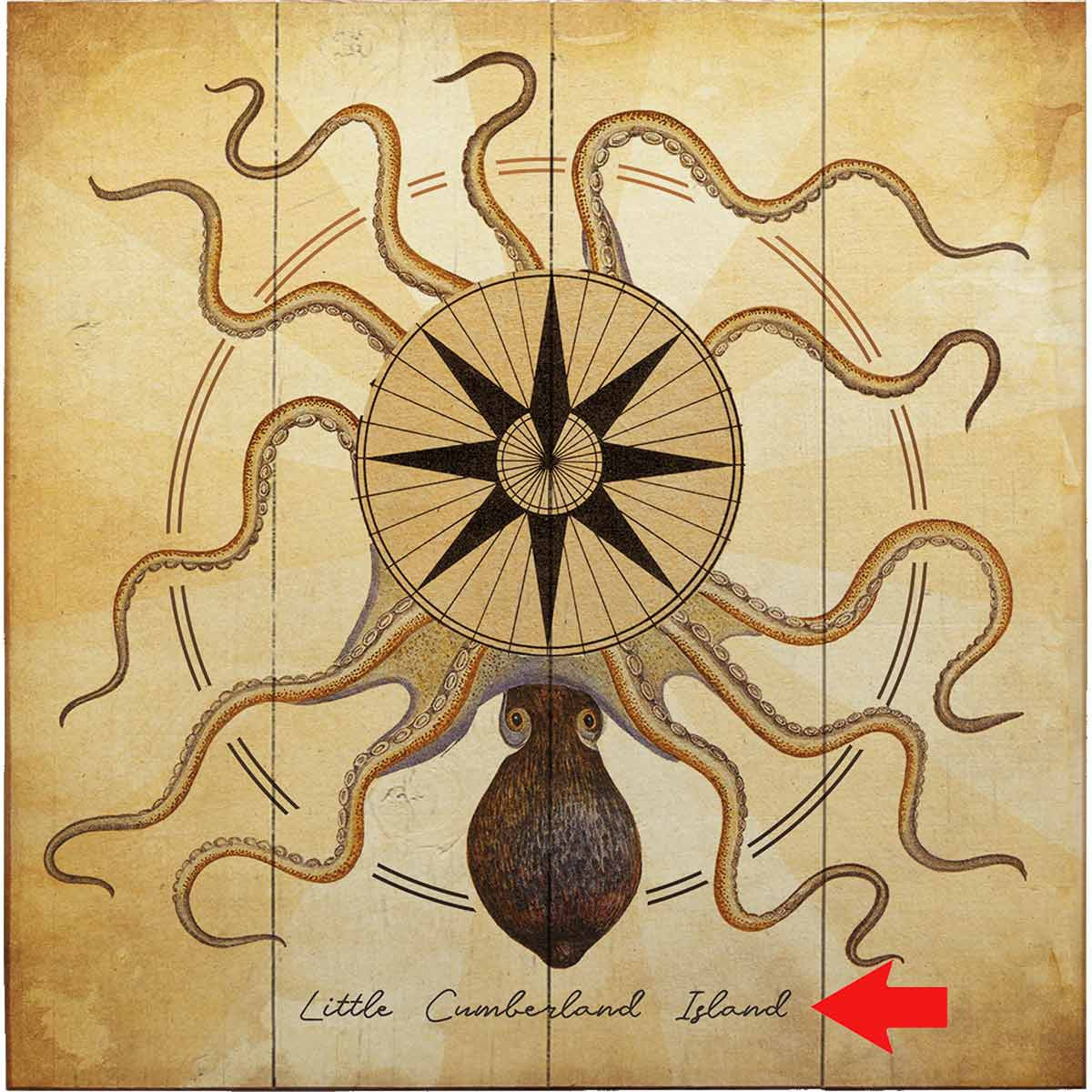 Octopus Compass Personalized Wood Sign