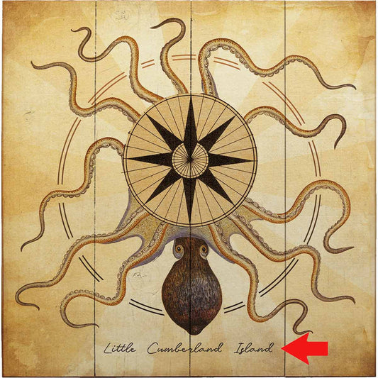 Octopus Compass Personalized Wood Sign