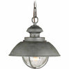 Portside Outdoor Pendant - OVERSTOCK