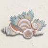 Coral & Shells Wall Art