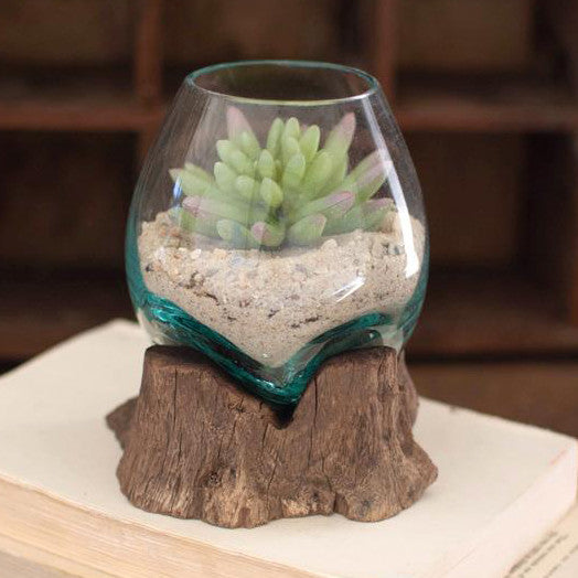 Teakwood Glass Planter - Small - OUT OF STOCK UNTIL 07/14/2026