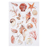 Seashell Breeze Kitchen Towels - Set of 4