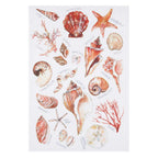 Seashell Breeze Kitchen Towels - Set of 4