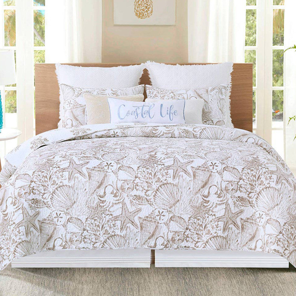 Abundant Shells Quilt Bed Set - Full/Queen - OUT OF STOCK UNTIL 09/03/2026