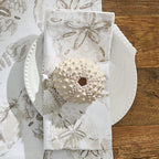 Coastal Cove - Set of 4