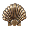 Large Seashell Cabinet Knobs - Set of 2