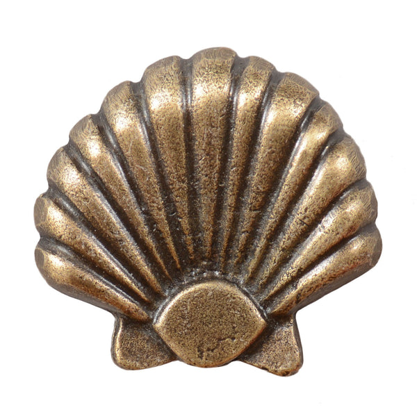 Large Seashell Cabinet Knobs - Set of 2