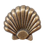 Large Seashell Cabinet Knobs - Set of 2