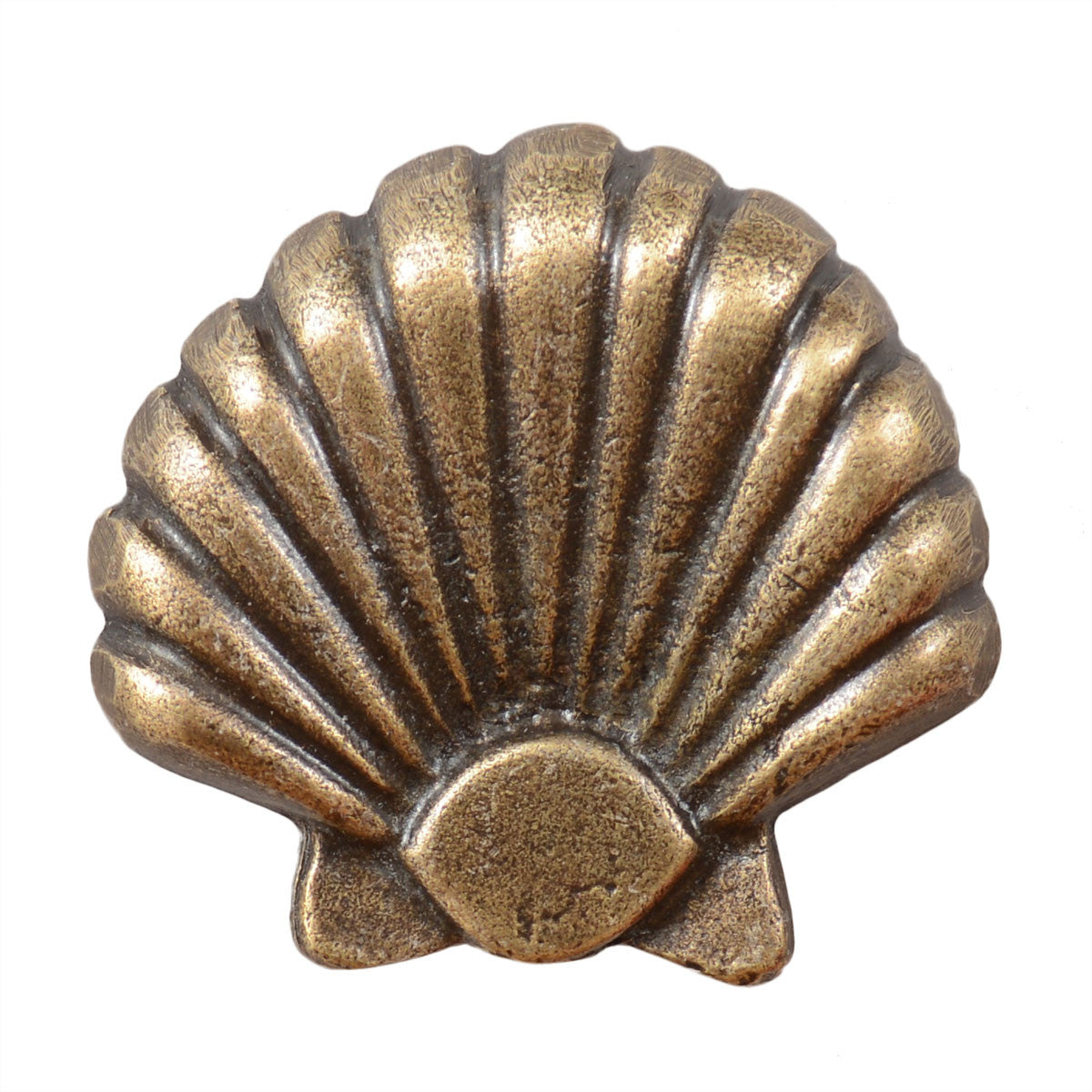 Large Seashell Cabinet Knobs - Set of 2