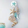 Coastal Shells Wall Art - OUT OF STOCK UNTIL 07/18/2026