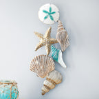 Coastal Shells Wall Art - OUT OF STOCK UNTIL 07/18/2026