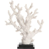 Coral Statue