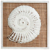 Island Shells Sea Snail Wall Art - CLEARANCE