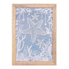 Nautical Star Views Wall Art