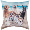 Beach Party Pillow