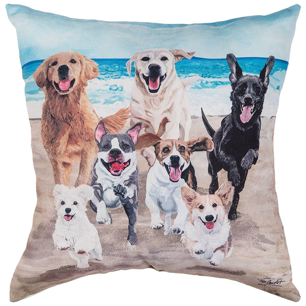 Beach Party Pillow