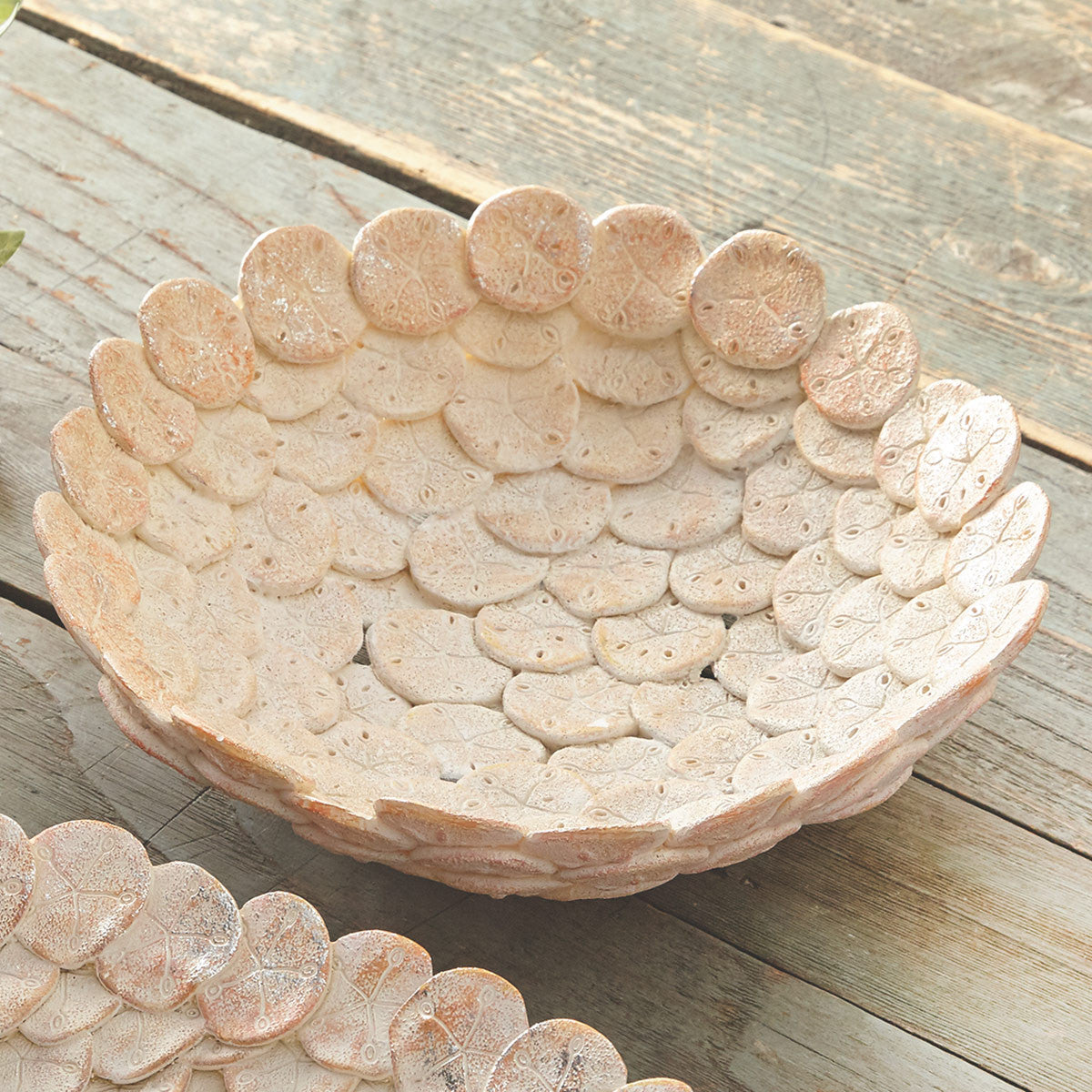 Sand Dollar Elegance Plate - Medium