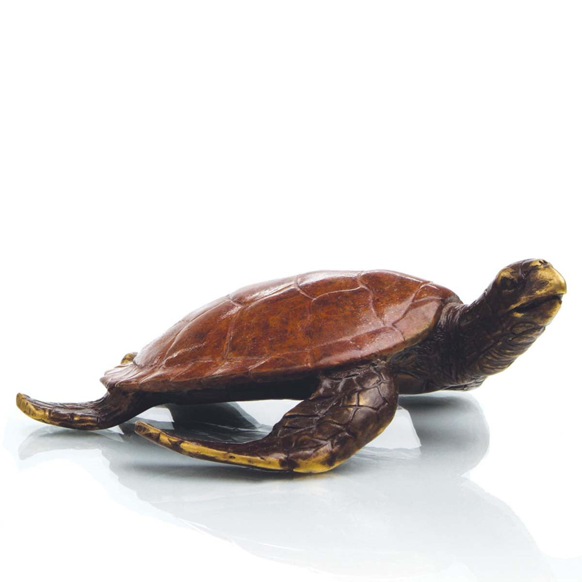 Wandering Turtle Sculpture