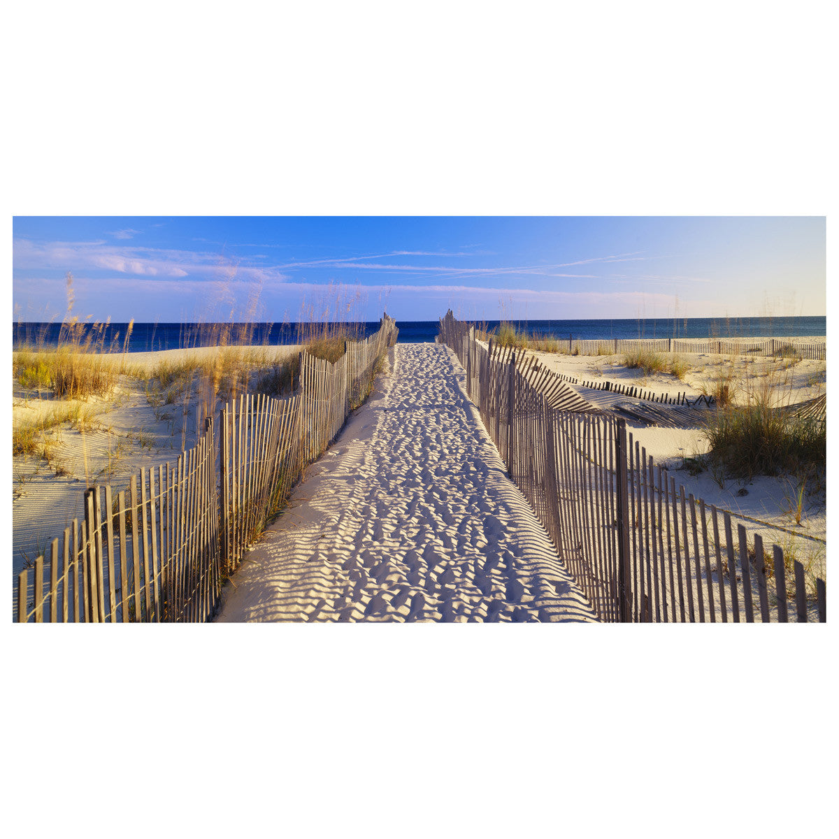 Beach Walk Indoor/Outdoor Canvas Art - OUT OF STOCK UNTIL 11/10/2026