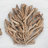 Coastal Driftwood Clam Wall Art - OUT OF STOCK UNTIL 06/20/2026