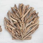 Coastal Driftwood Clam Wall Art - OUT OF STOCK UNTIL 06/20/2026