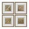 Shore Dwellers Wall Art - Set of 4