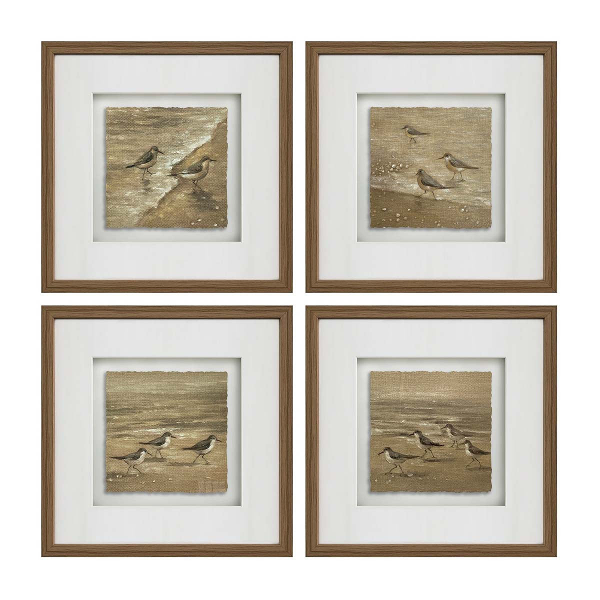 Shore Dwellers Wall Art - Set of 4