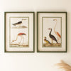 Birds of a Feather Wall Art - Set of 2