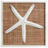 Island Shells Starfish Wall Art - CLEARANCE