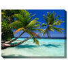 Palms Duo Indoor/Outdoor Canvas Art