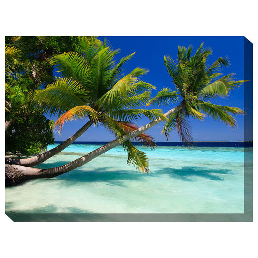 Palms Duo Indoor/Outdoor Canvas Art