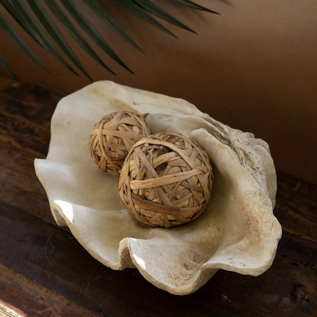 West Indies Clam Shell Sculpture