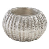 Oceanic Urchin Candle Holder