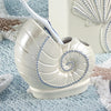 Bayside Seashells Toothbrush Holder