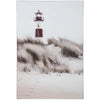 Coastal Grassy Views Wall Art