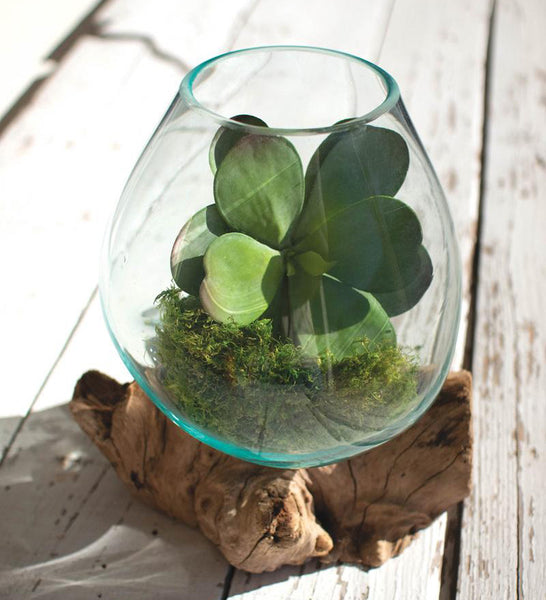 Teakwood Glass Planter - Large - OUT OF STOCK UNTIL 08/19/2026