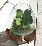 Teakwood Glass Planter - Large - OUT OF STOCK UNTIL 08/19/2026