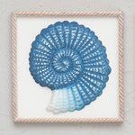 Indigo Isle Sea Snail Wall Art