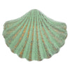 Seafoam Scallop Cabinet Knob - SALE