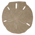 Sand Dollar Drink Table