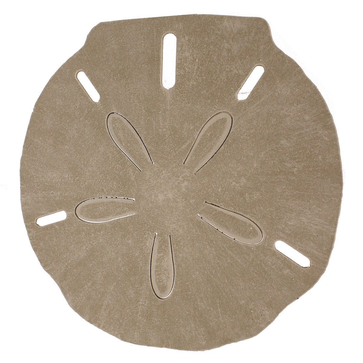 Sand Dollar Drink Table