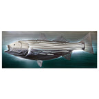 Striped Bass Back Lit Wall Decor