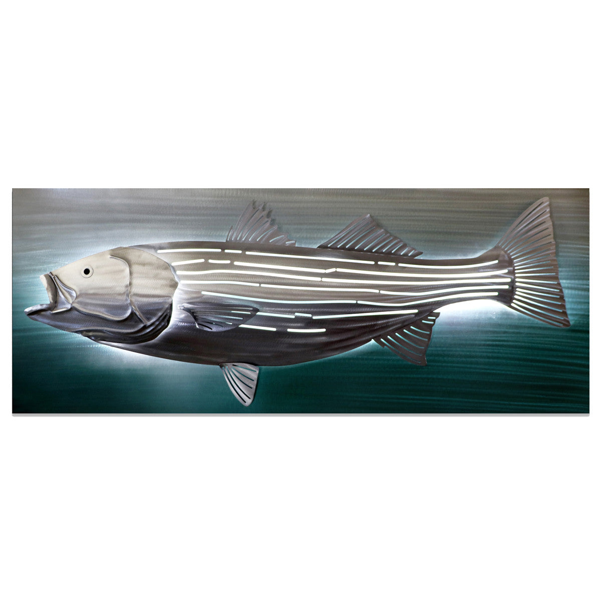 Striped Bass Back Lit Wall Decor