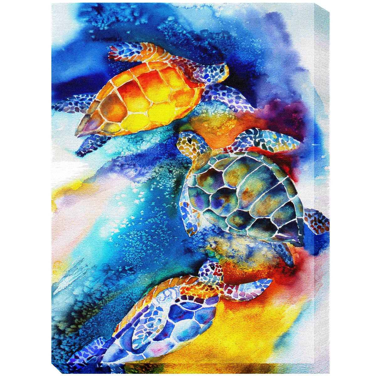 Tortoise Trio Canvas Art