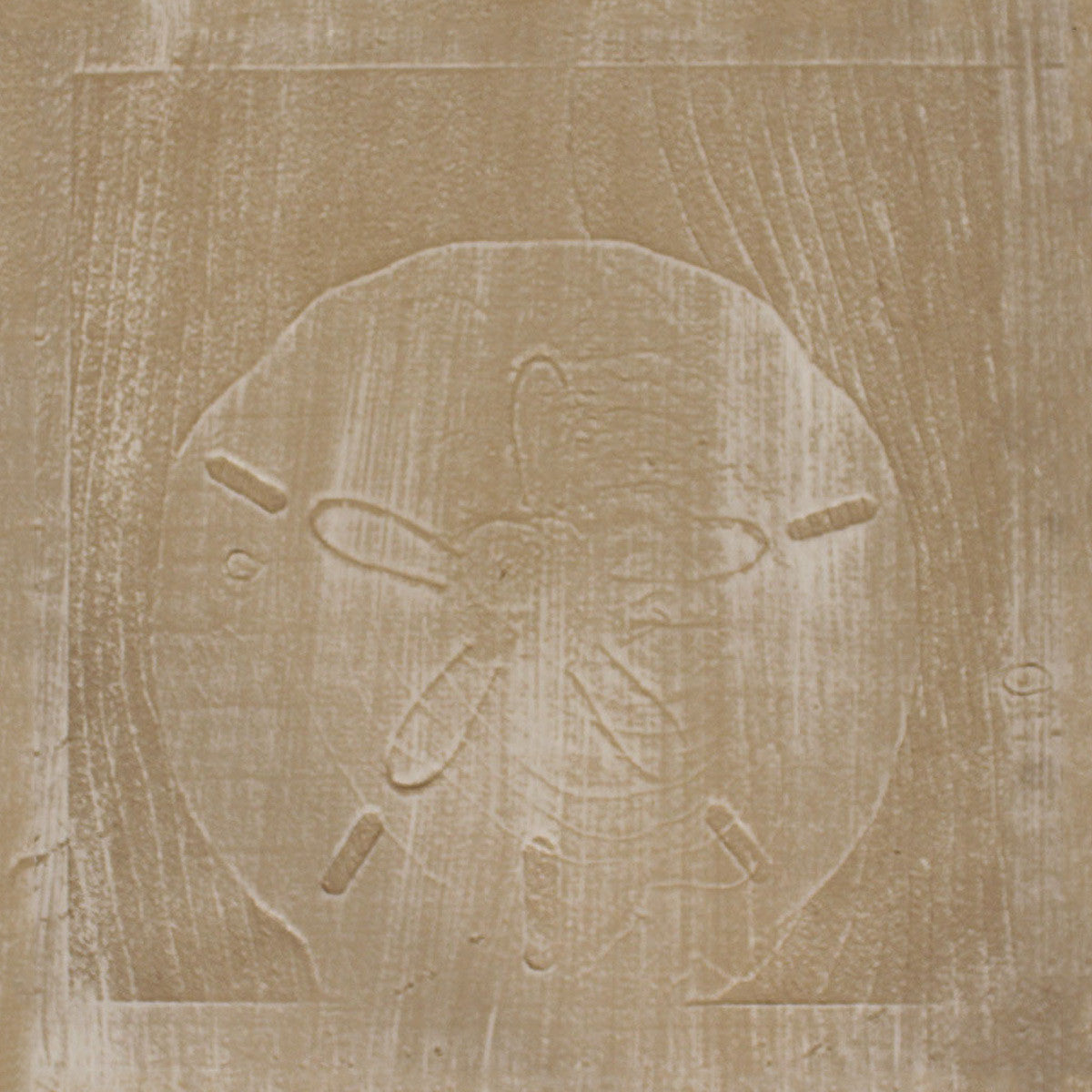 Weathered Tan Sand Dollar Drink Table on Iron Base