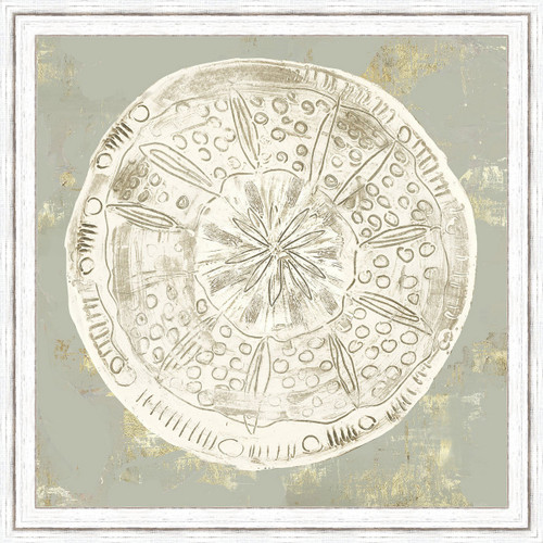 Vintage Sand Dollar III Wall Art