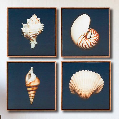 Exquisite Shells Framed Canvas Art - Set of 4